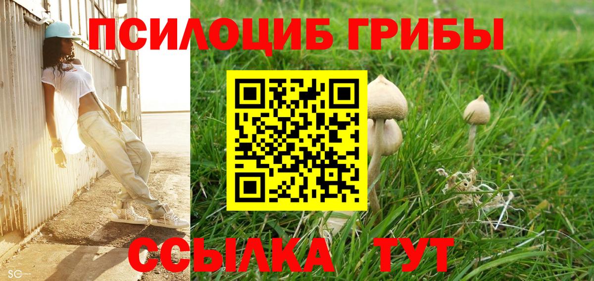 Псилоцибиновые грибы ЛСД Советский