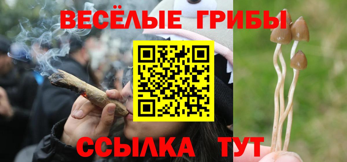 Галлюциногенные грибы Cubensis  Вход с VPN  Советский 